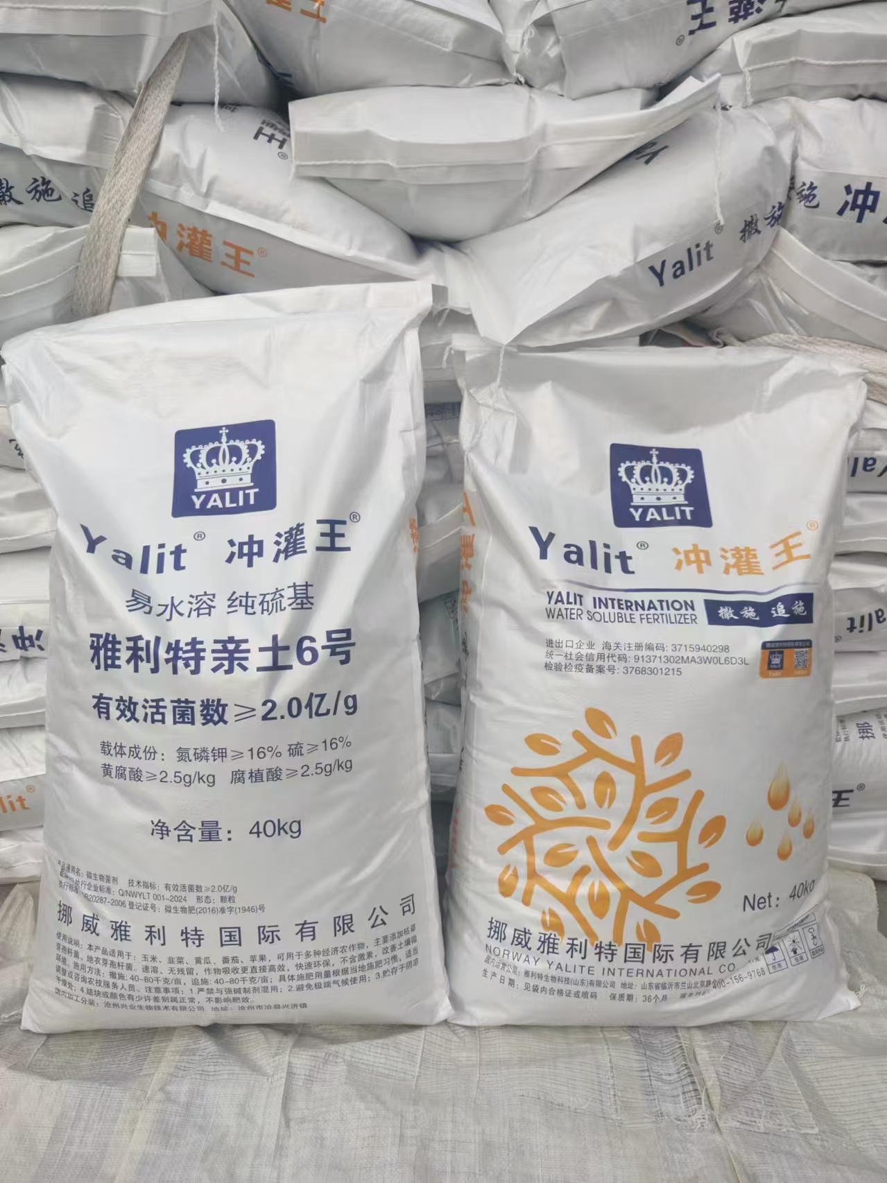 ����������6��