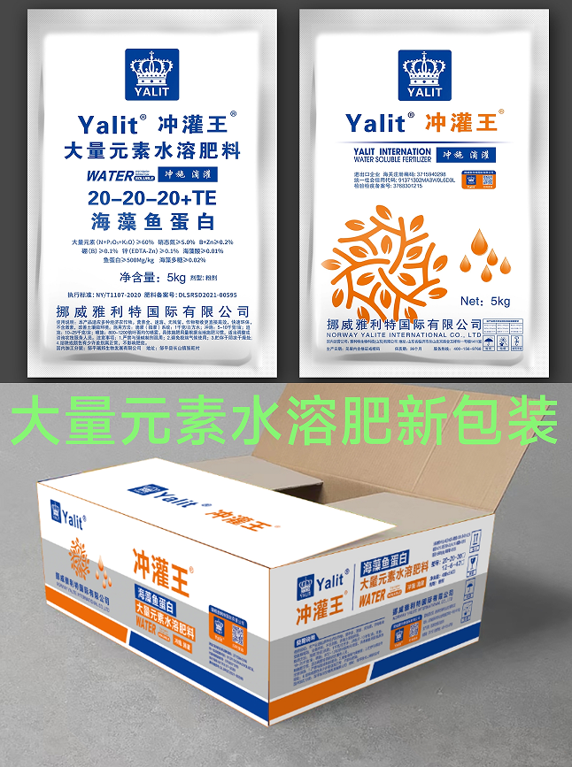 ����Ԫ��ˮ�ܷ��°�װ