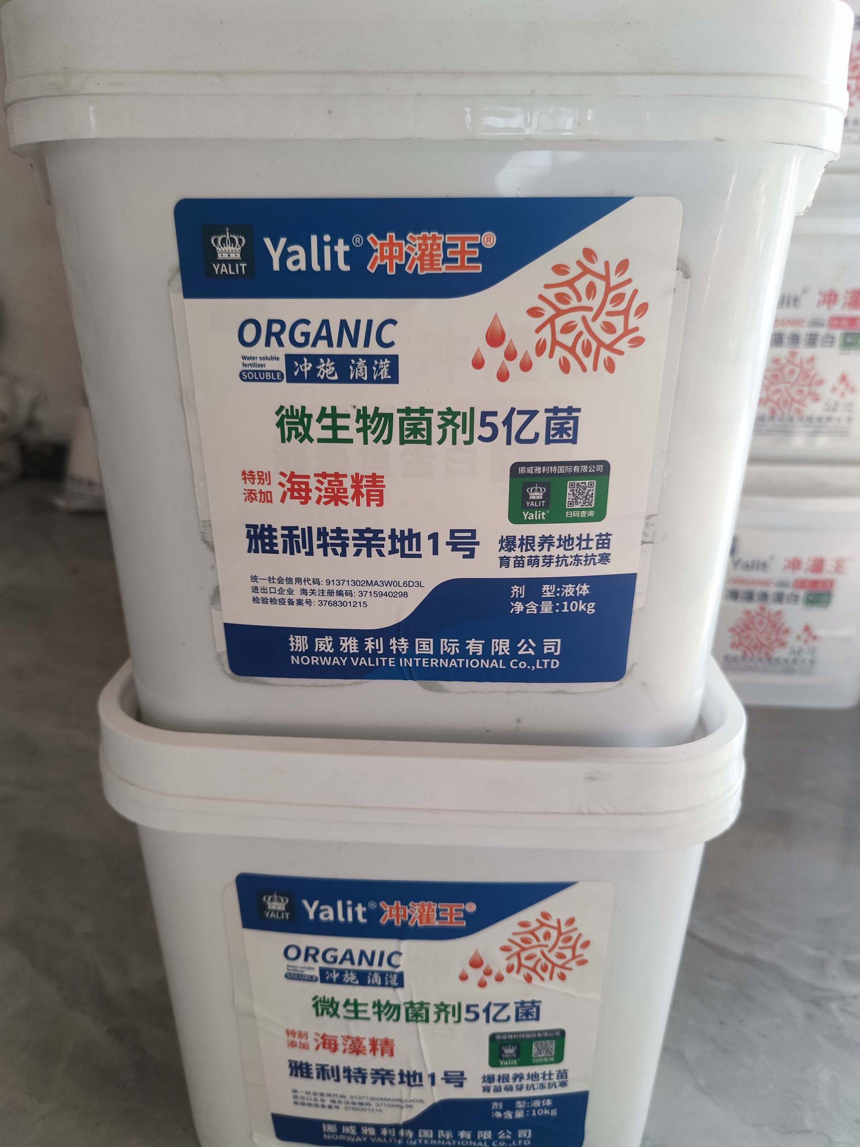 ΢������� 5��