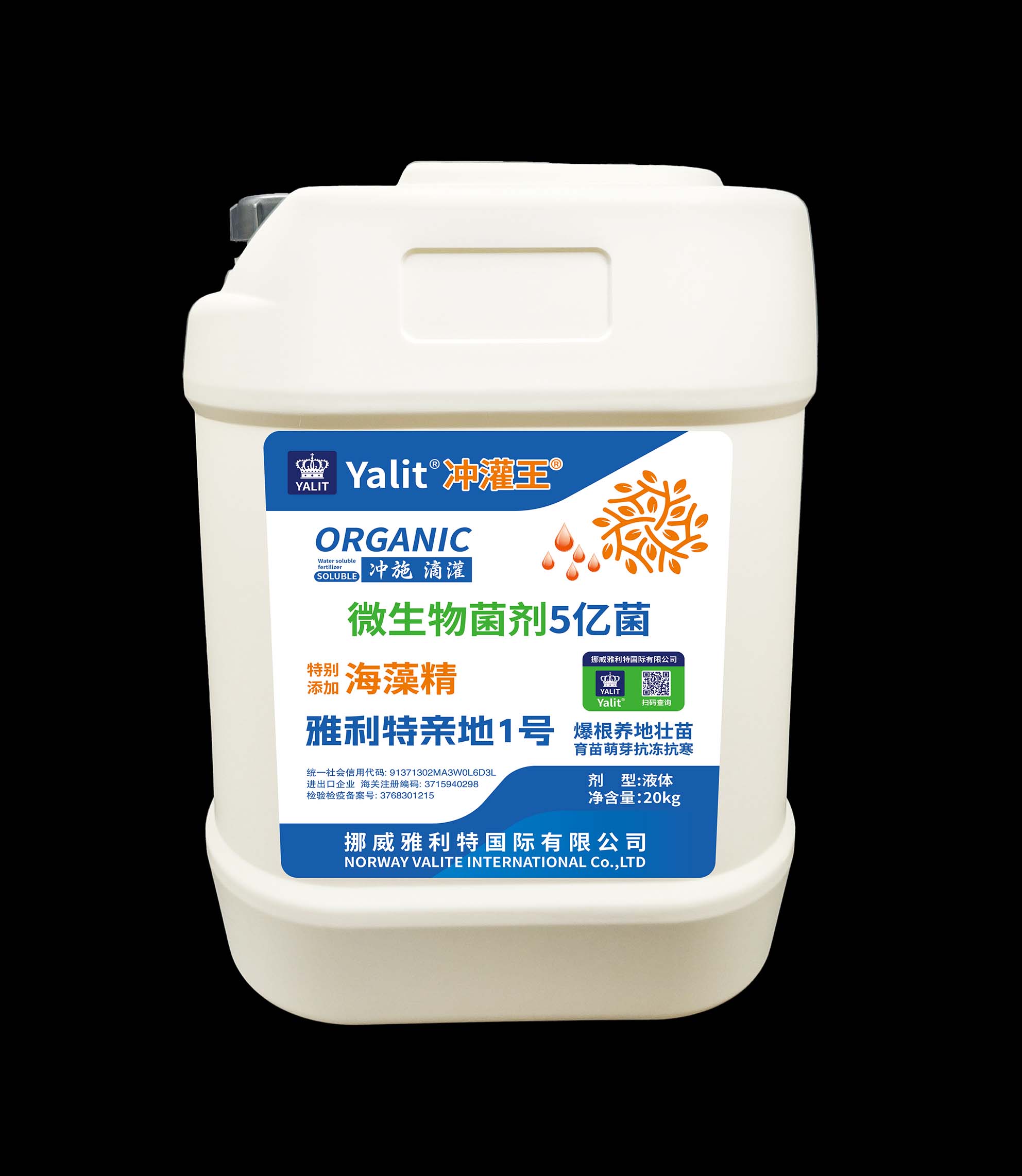 ΢�������5�ھ� ���徫